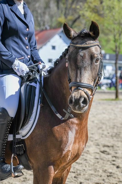 侯永永今按期赴国足报到 费南多能否参训成疑 伊万不强求任何球员.